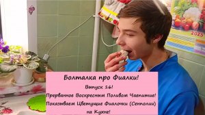 Болталка про Фиалки! Выпуск 16: Прерванное Воскресным Поливом Чаепитие! Показываем Цветущие Фиалочки