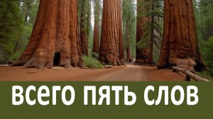 Единственная молитва , действующая мгновенно . Запомни всего пять слов ! Иосиф Исихаст