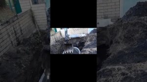 25 сентября 2024 г.