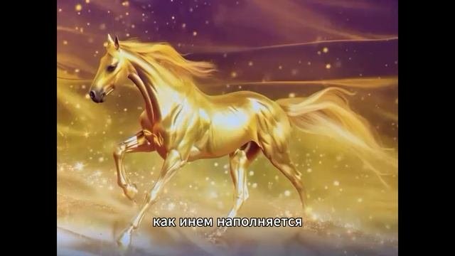 Медитация на каждый день с целительский кругом без времени