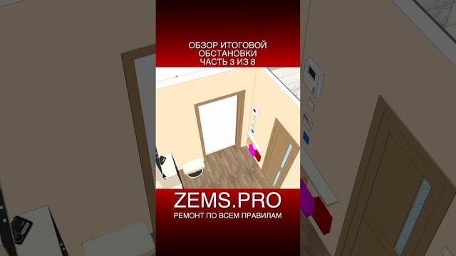 ZEMS.PRO — ремонт по всем правилам #shorts #алексейземсков #проектирование #перепланировка #прихожая