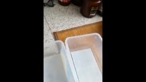 БАКЛАЖАНЫ ПО-ГРУЗИНСКИ