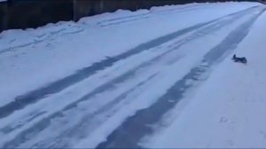 Белочка 15.12.