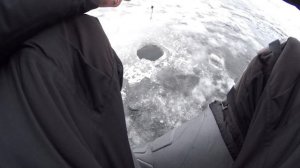 Рыбалка по первому льду на судака. саратов 2023