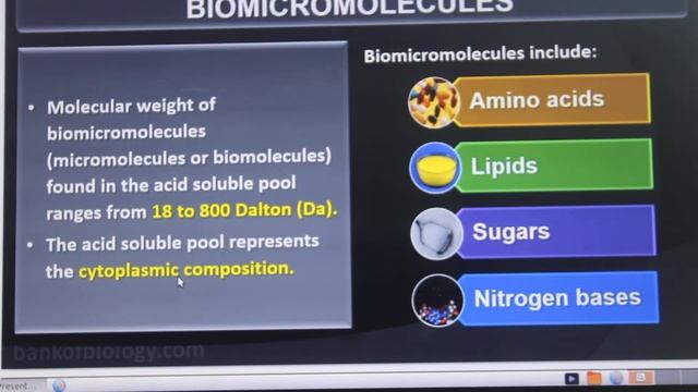Biomolecule Part 1