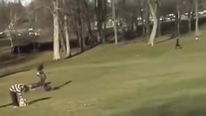 Голодный орел напал на ребенка