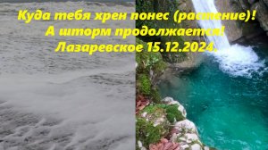 Куда тебя хрен понес!!! А шторм продолжается! Лазаревское 15.12.2024. 🌴ЛАЗАРЕВСКОЕ СЕГОДНЯ🌴СОЧИ.