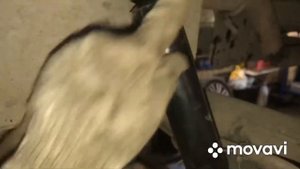 Citroen C4 Picasso замена стоек