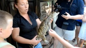 Крокодиловая ферма в Анапе   самое экстремальное развлечение
