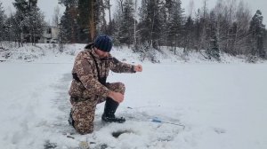 Первый лёд и первый улов который я не ожидал поймать