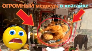Играю в НОВОМ автомате-хватайке TELEPHONE и пробую ВЫИГРАТЬ ОГРОМНОГО коричневого МЕДВЕДЯ!!!