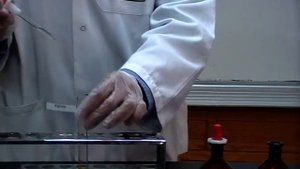 Sakaguchi test Part 2 (Identification of Amino Acids: Arginine)