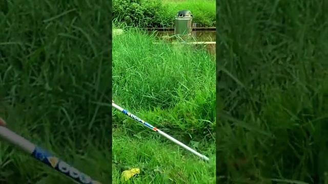 Brush Cutter