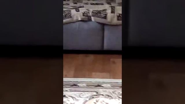 Я в деревни с барий смотреть онлайн