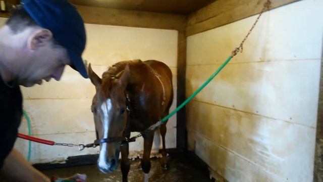 Week 35 - Hot day, cool bath смотреть онлайн