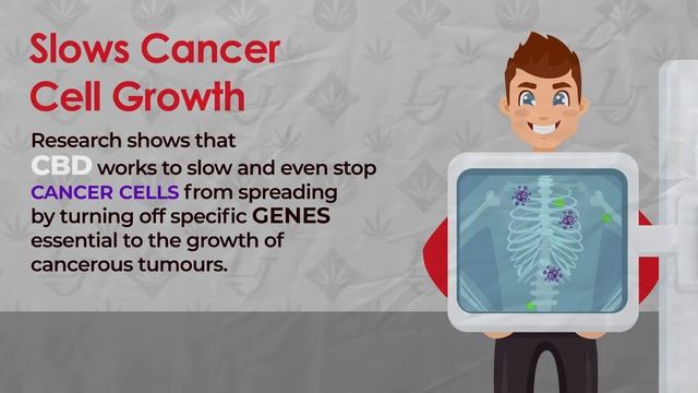 Understanding CBD And It's Effects смотреть онлайн