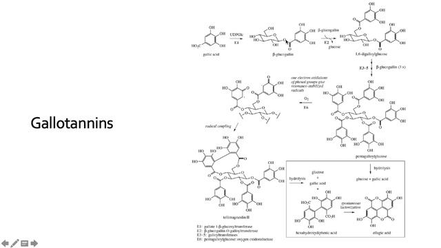TANNIN смотреть онлайн