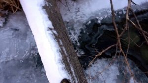 Предсказания о России на 2024 год.