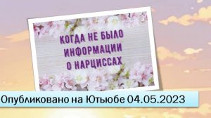 Когда не было информации о нарциссах (04.05.2023)