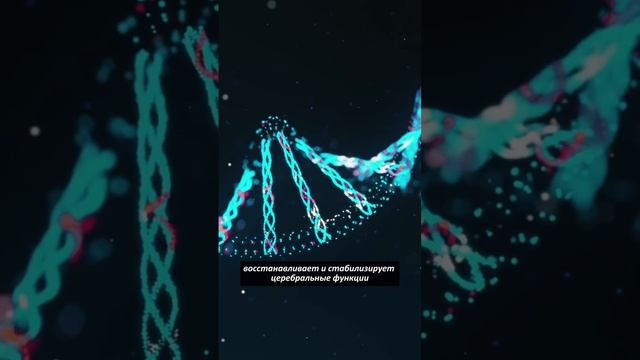 Пирацетам #факты #здоровыйобразжизни #здоровье #здоровоепитание #ноотропы #мозг