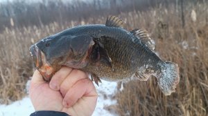 Я в ШОКЕ, он клюёт даже в мороз!!! МАТЕРЫЙ РОТАН-КАБАН ЗАЖИГАЕТ! Первый лед 2024-2025