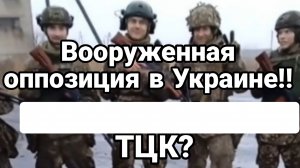 МРИЯ⚡️ 15.12.2024 ТАМИР ШЕЙХ /  ВООРУЖЕННАЯ ОППОЗИЦИЯ В УКРАИНЕ!! Сводки с фронта Новости
