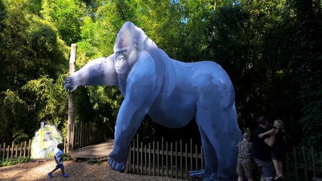 Max and Dania visit the Apenheul and meet the monkeys смотреть онлайн