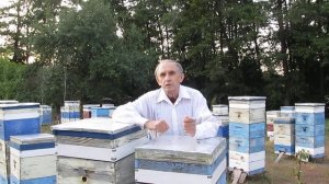 Мастер - класс  "Все про изоляцию маток", 29. 09; 12 10. 19.10; и 26 10 2019 г.