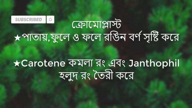 plastid/biology/know about plastid/2020/bangla tutorial*new video*