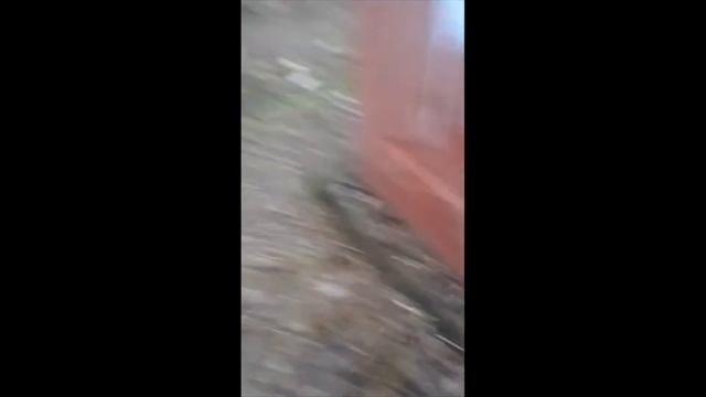 Graffiti Trip in Taganrog.Tegs end graffiti.Bombing.Graffiti bombing смотреть онлайн