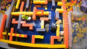 Hamster escape lego maze