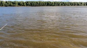 Не могу поднять ИХ с омута! Как вкусно ПОЖАРИТЬ  ЩУКУ! Рыбалка на Иртыше.