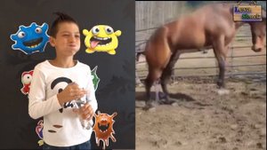 Челлендж ПОПРОБУЙ НЕ ЗАСМЕЯТЬСЯ с водой во рту | Самое смешнле видео в мире