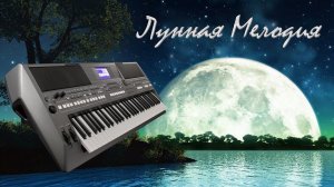 ЛУННАЯ МЕЛОДИЯ НА СИНТЕЗАТОРЕ YAMAHA PSR s670