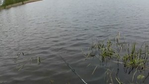 Щука на джерки и крупный силикон с берега. Апрель 2024