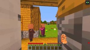 КАК МЕНЯЛАСЬ ДЕВУШКА КОШКА ПРИНЦЕССА МОБ ЕЁ ЖИЗНЕННЫЙ ЦИКЛ МАЙНКРАФТ! ЭВОЛЮЦИЯ И ТРОЛЛИНГ МУЛЬТИК