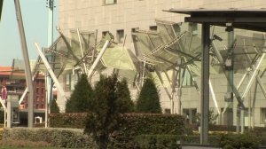 Путешественники во времени