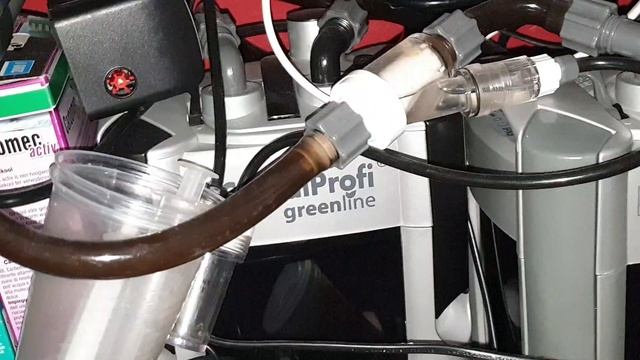 57. Sistema automático Co2 en acuario de discos смотреть онлайн