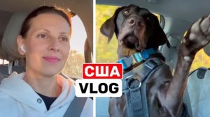 США ВЛОГ Следуйщий! Нам всё можно! Вот такая я мать! США Семейный Влог Большая семья Big family USA