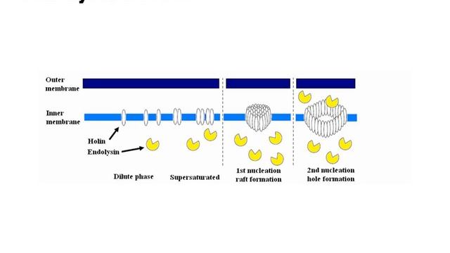 Payload delivery device смотреть онлайн