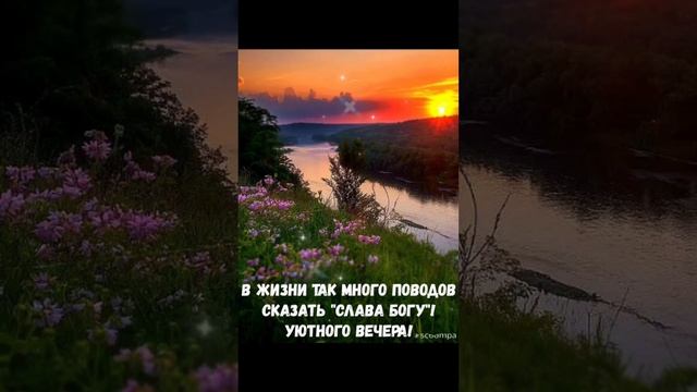 Завершился день рабочий,можно сесть и отдохнуть♥️♥️ Добрый вечер💜💙 смотреть онлайн