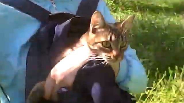 #1 Первый раз вышли на улицу :d)) смотреть онлайн