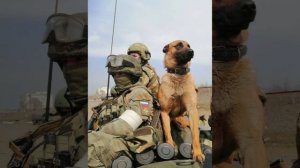 Владимир Машечкин. СВО! ТАК ДЕРЖАТЬ! УДАЧИ! РЕБЯТА! Г.АЛДАН ЯКУТИЯ!РОССИЯ СВАМИ!🇷🇺🎄💓🎵☀️🌹🤗👍🤝