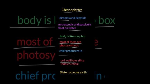Chrysophytes  What are Cryophytes?  Living World  NCERT NEET neet2022