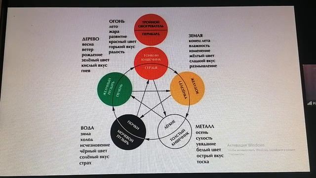 Возрастные циклы в круге УСИН смотреть онлайн