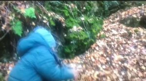 Шиловский рудник