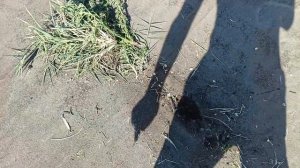 Новочеркасск Трамвайная 3Б.1300 м3