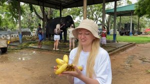 Шри-Ланка сезон дождей. Что посмотреть на Шри-Ланке