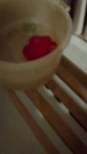 4 часть лапки