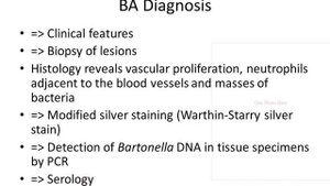 Bartonellosis -- Antoneh Addisu, MD